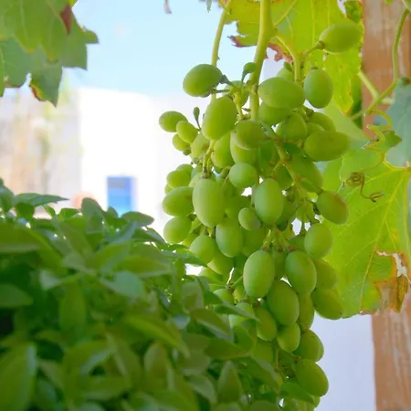 Jimmy's Appartamento