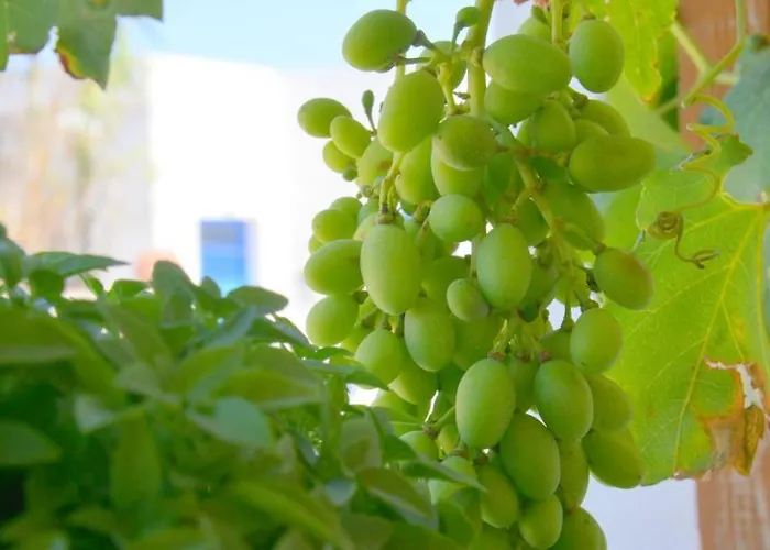 Jimmy'S Studios - Quiet Island Living In Plakes Near Firopotamos & Plathiena Beaches Apartmán